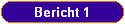Bericht 1